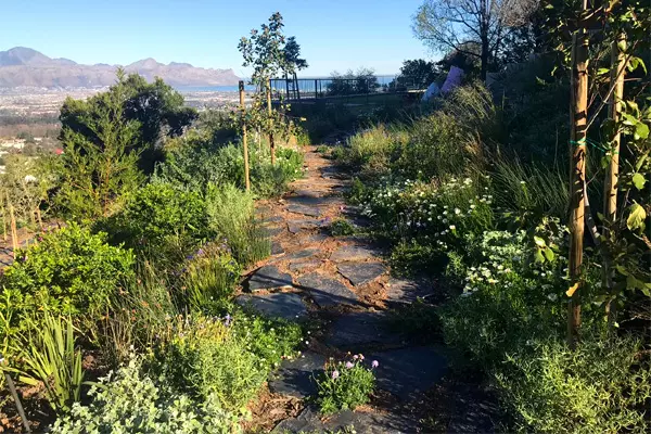Cape Town Landcsaping