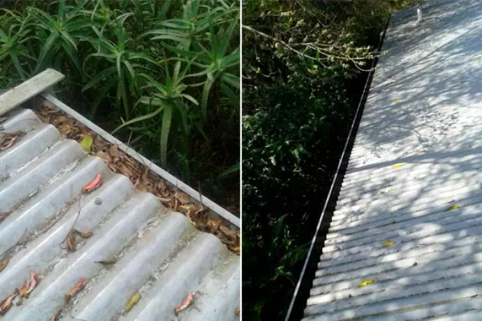 Gutter Foam Before and After